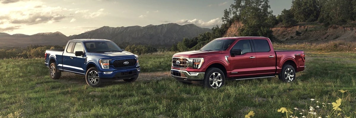 2021 Ford F-150 lineup