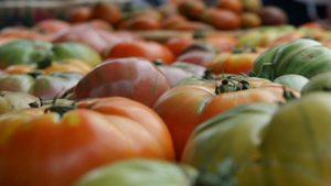 Farmer's Market in San Jose, CA | The Ford Store Morgan Hill