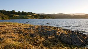 Family Friendly Parks in Northern California | The Ford Store Morgan Hill