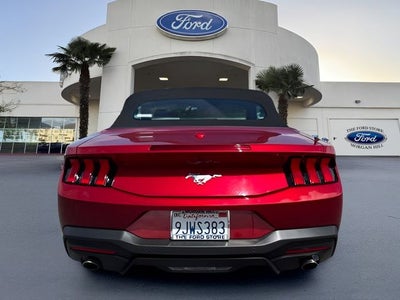 2024 Ford Mustang EcoBoost