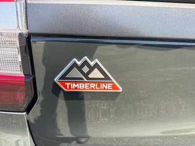 2023 Ford Expedition Timberline