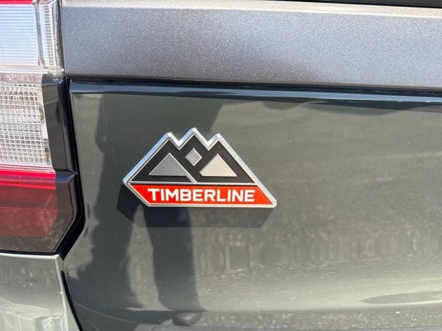 2023 Ford Expedition Timberline