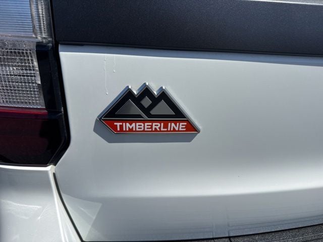 2024 Ford Expedition Timberline