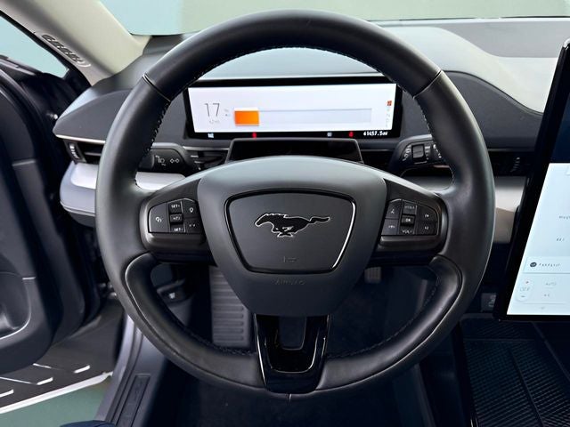 2021 Ford Mustang Mach-E California Route 1