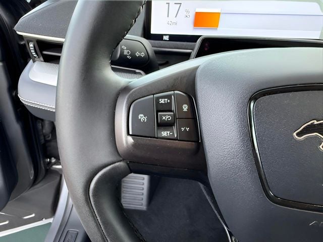 2021 Ford Mustang Mach-E California Route 1