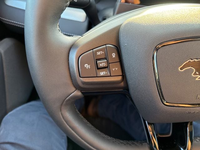 2023 Ford Mustang Mach-E California Route 1